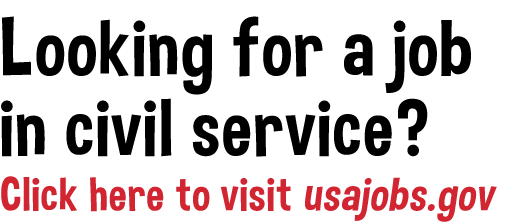 Looking for a job in civil service